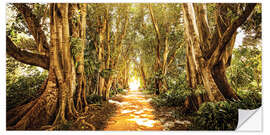 Sticker mural Sunlit Forest Path