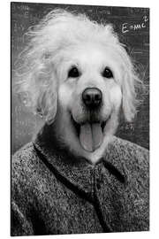 Aluminiumtavla Einstein Dog