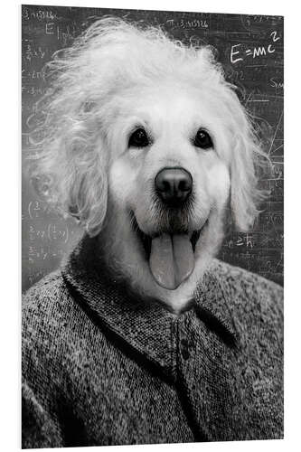 Foam board print Einstein Dog