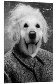 Foam board print Einstein Dog