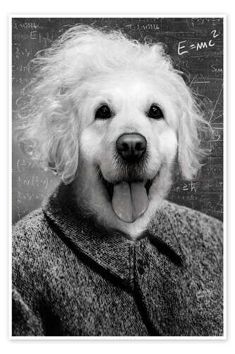 Poster Hund Einstein