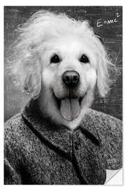 Wall sticker Einstein Dog