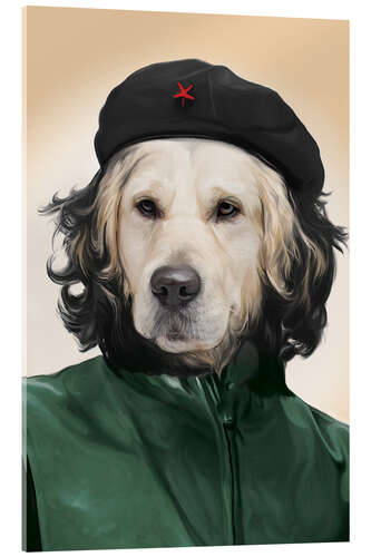 Acrylic print Che Guevara Dog