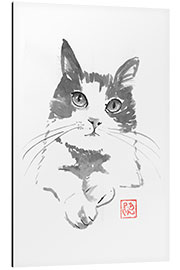 Tableau en aluminium Cat Whiskers