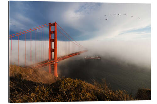 Tableau en plexi-alu Golden Gate Bridge, San Francisco