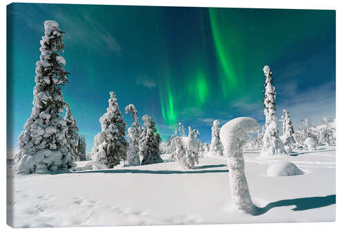 Leinwandbild Eisskulpturen Unter den Nordlichtern, Finnland