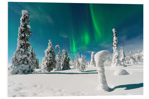 Foam board print Ice Sculptures Under the Northern Lights, Finland