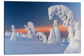 Aluminium print Bizarre Shapes of Ice Sculptures in the Snowy Landscape