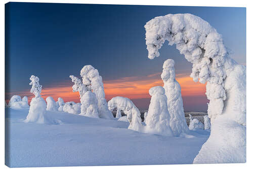 Canvas print Bizarre Shapes of Ice Sculptures in the Snowy Landscape