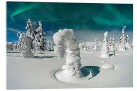Akryylilasitaulu Spruce Trees Under the Northern Lights, Pallas, Finland