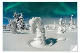 Wall sticker Spruce Trees Under the Northern Lights, Pallas, Finland