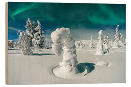 Trätavla Spruce Trees Under the Northern Lights, Pallas, Finland
