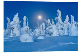 Acrylglasbild Vollmond in Lappland, Finnland