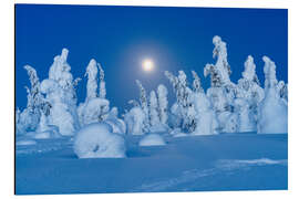 Aluminium print Full Moon Glowing, Lapland, Finland