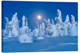 Canvastavla Full Moon Glowing, Lapland, Finland