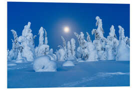 Foam board print Full Moon Glowing, Lapland, Finland