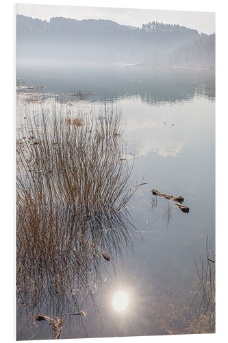 PVC-taulu Morning Mood at Edersee, Hesse