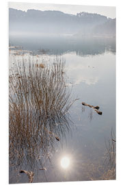 Obraz na PCV Morning Mood at Edersee, Hesse