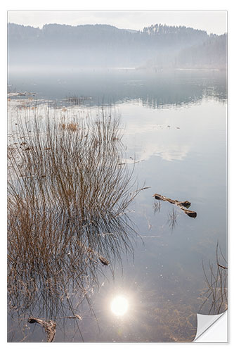 Selvklebende plakat Morning Mood at Edersee, Hesse