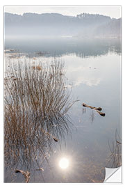 Vinilo para la pared Morning Mood at Edersee, Hesse