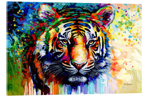 Acrylic print Tiger's Gaze