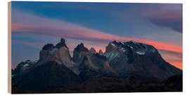 Holzbild Cuernos im Nationalpark Torres del Paine, Chile