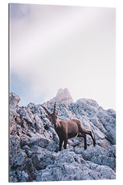 Gallery print Capricorn on the Watzmann