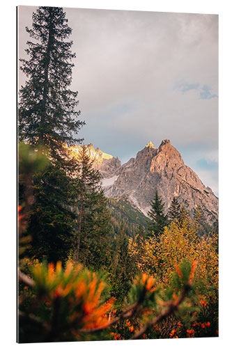 Gallery print Elferkofel in Autumn