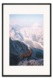 Gerahmter Kunstdruck Steinbock am Watzmann