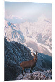 Gallery print The Capricorn, King of the Mountains