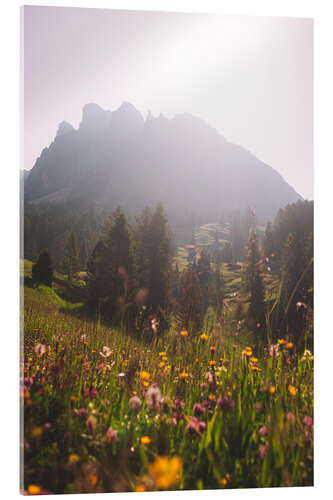 Acrylic print Alpine Meadow in South Tyrol