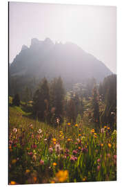 Stampa su alluminio Alpine Meadow in South Tyrol