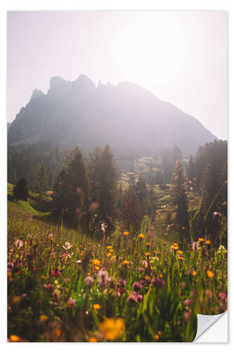 Naklejka na ścianę Alpine Meadow in South Tyrol