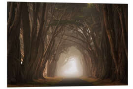 Obraz na PCV Cypress tree tunnel, California I