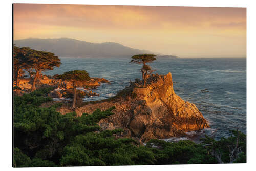 Aluminium print Lone Cypress, California