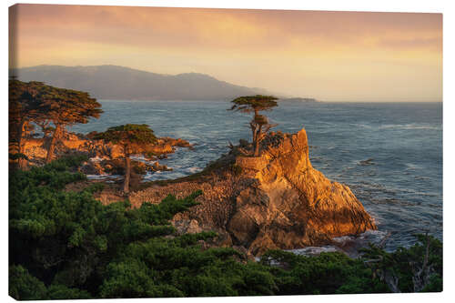 Lærredsbillede Lone Cypress, California