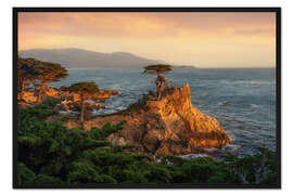 Gerahmter Kunstdruck Lone Cypress, Kalifornien