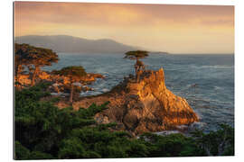 Gallery print Lone Cypress, California