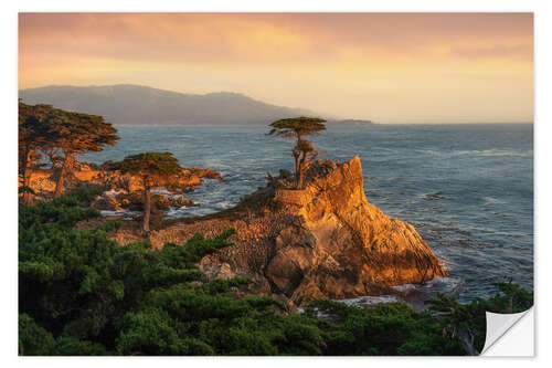 Selvklebende plakat Lone Cypress, California