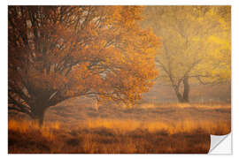 Selvklebende plakat Autumn Colours on the Kampina, Netherlands