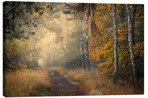 Canvas print Forest Lane in Oisterwijkse Vennen, Netherlands