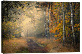 Canvas print Forest Lane in Oisterwijkse Vennen, Netherlands