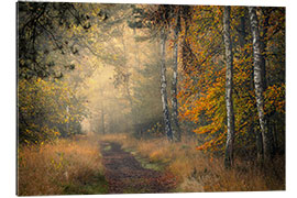 Gallery print Forest Lane in Oisterwijkse Vennen, Netherlands