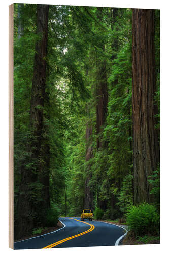 Wood print Avenue of the Giants, California