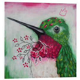 Acrylic print Humming Bird - Micki Wilde