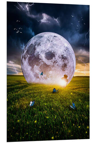 PVC print Moon, Lantern and Butterflies