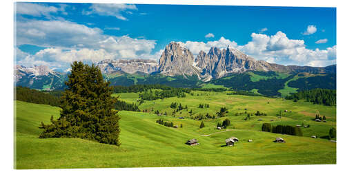 Akrylglastavla Spring on the Seiser Alm with the Sassolungo in the background