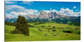 Alumiinitaulu Spring on the Seiser Alm with the Sassolungo in the background