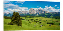 Foam board print Spring on the Seiser Alm with the Sassolungo in the background