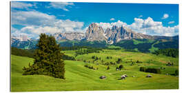 Gallery print Spring on the Seiser Alm with the Sassolungo in the background